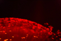 4 photos of my fibre-optic light using a red filter and wrong focusing joined together with Gimp and sellotape. I find it relaxing.